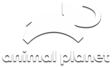 Animal Planet HD UK